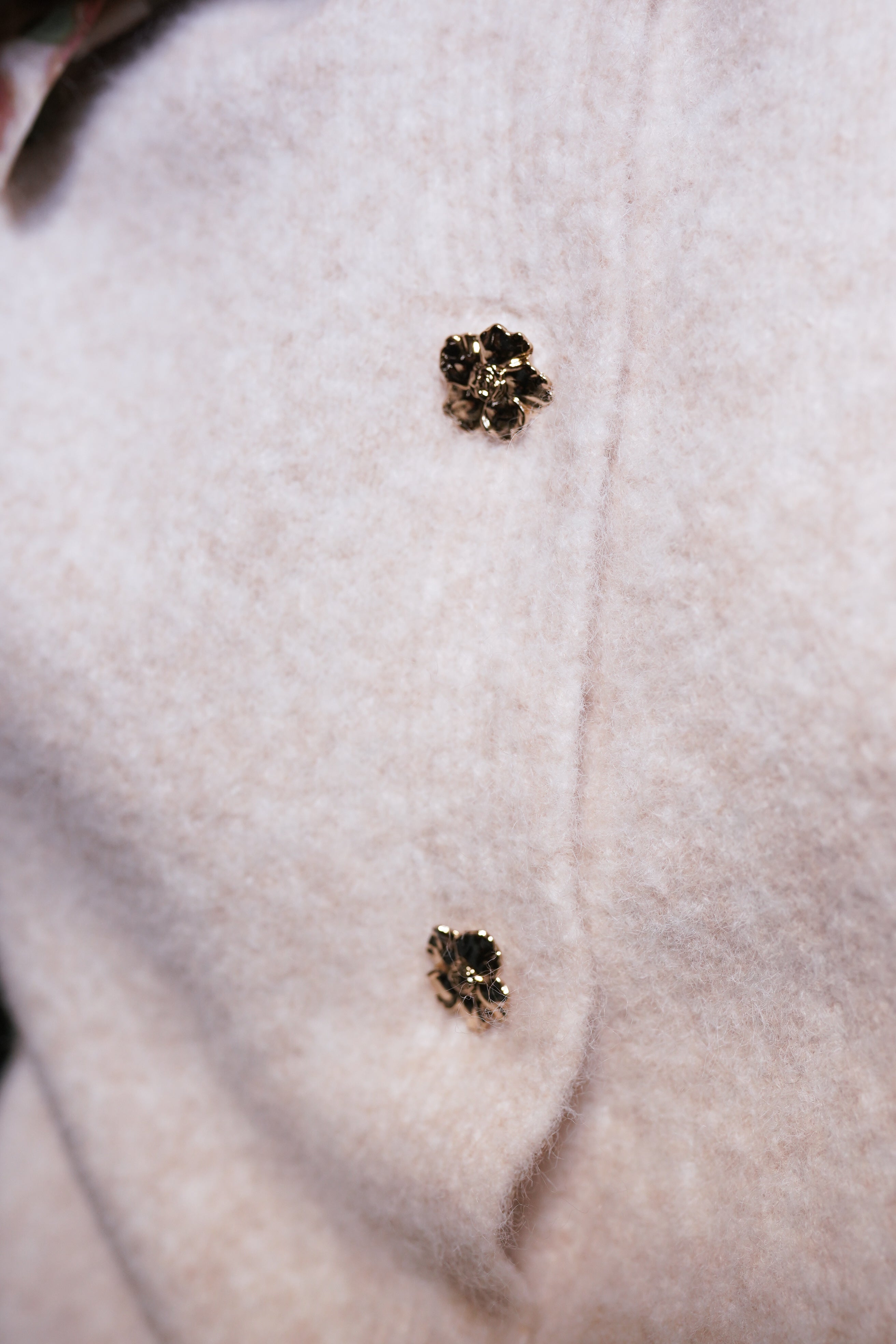 Pull Colombe